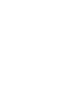 VSAFE Logo